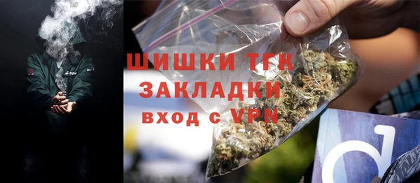 тгк Дмитровск