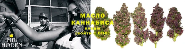 тгк Дмитровск