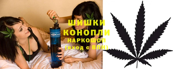 мяу мяу мука Елизово