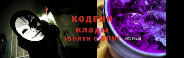 спиды Дмитриев