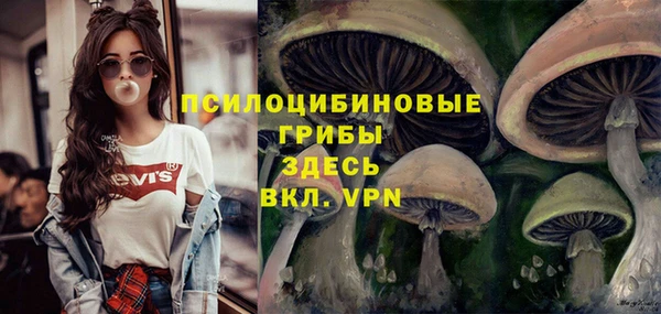 кокаин VHQ Гусев