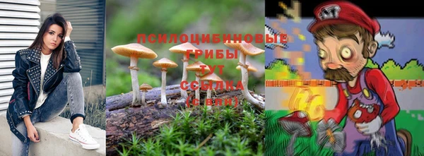 экстази Ельня