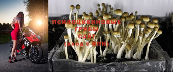 бутик Дмитров
