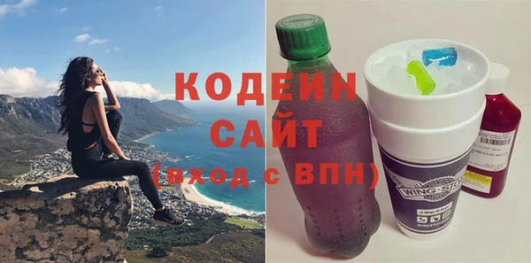 прущие грибы Гусиноозёрск