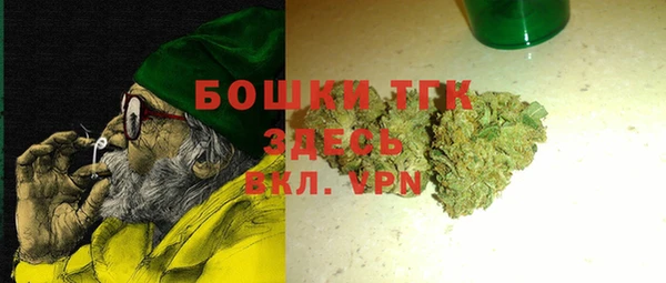 экстази Ельня