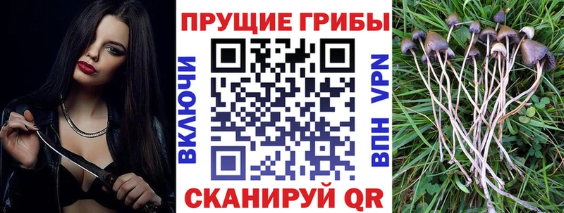 Галлюциногенные грибы ЛСД  мориарти как зайти  Гремячинск  наркошоп 